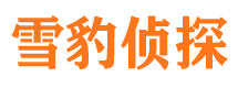 新都找人公司